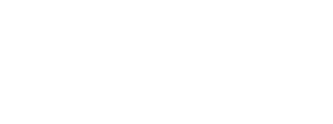 WSDS